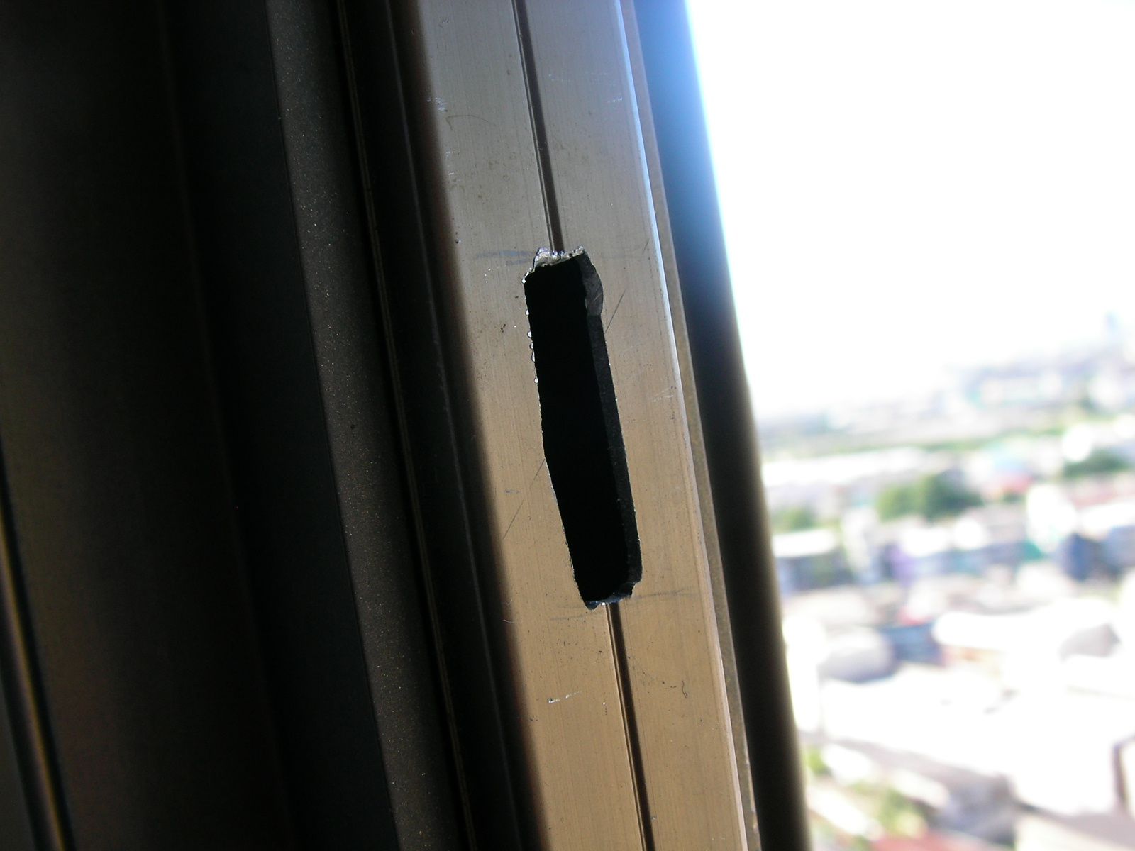 20150930_11.jpg