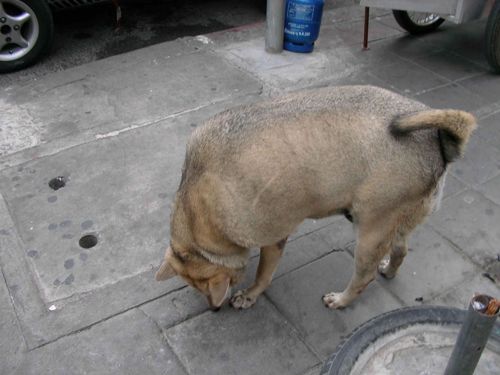 20140226_04.jpg