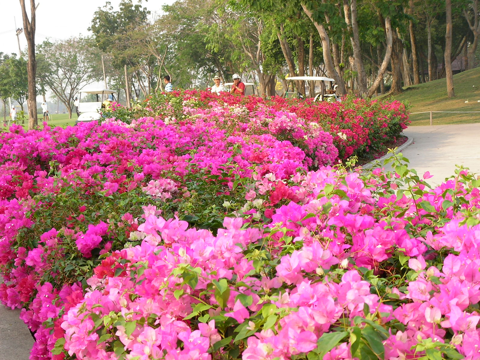20140319_04.jpg