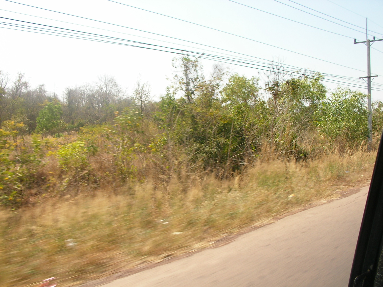 20130124_05.jpg