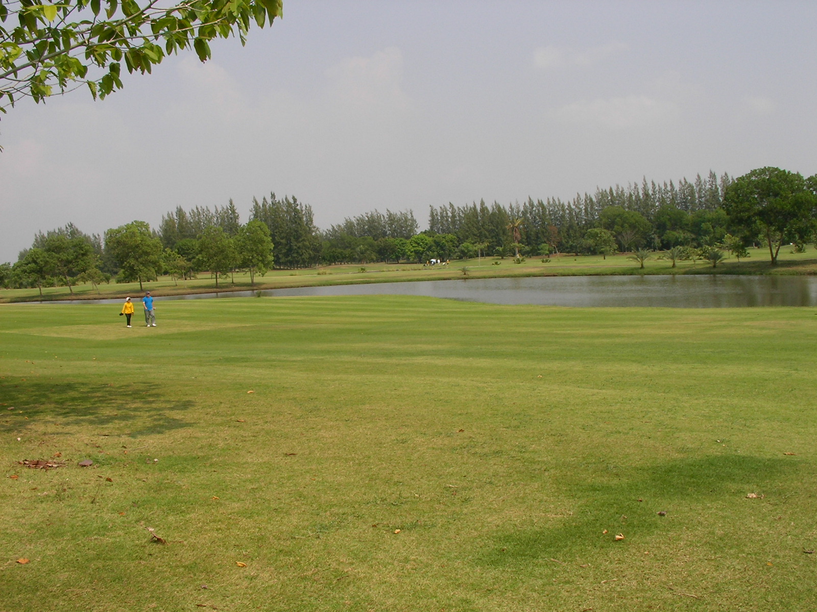 20140220_05.jpg