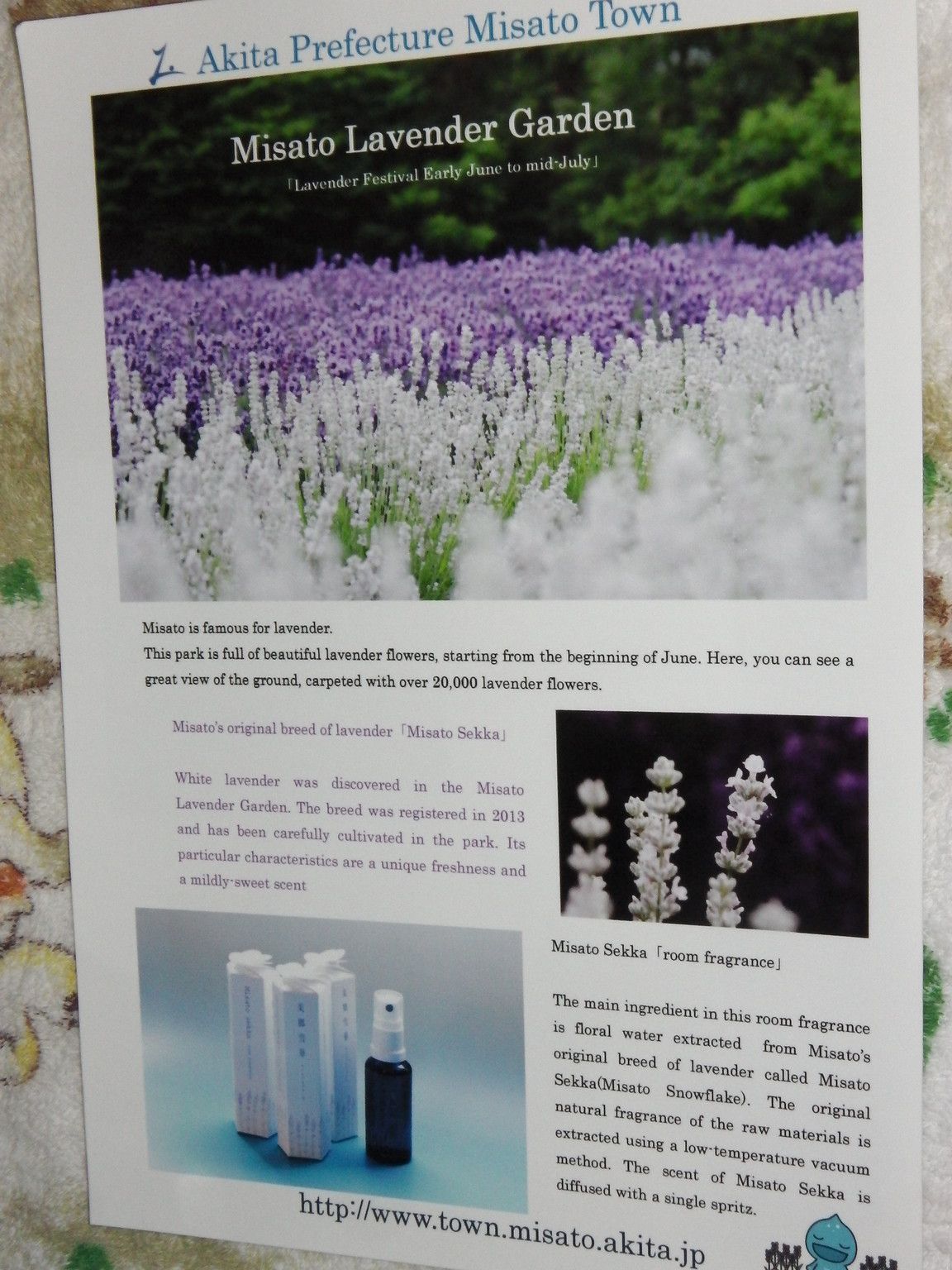 20160629_19.jpg
