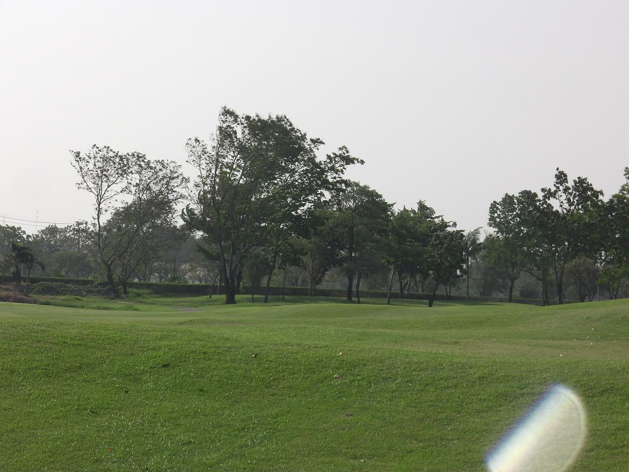 20160209_09.jpg