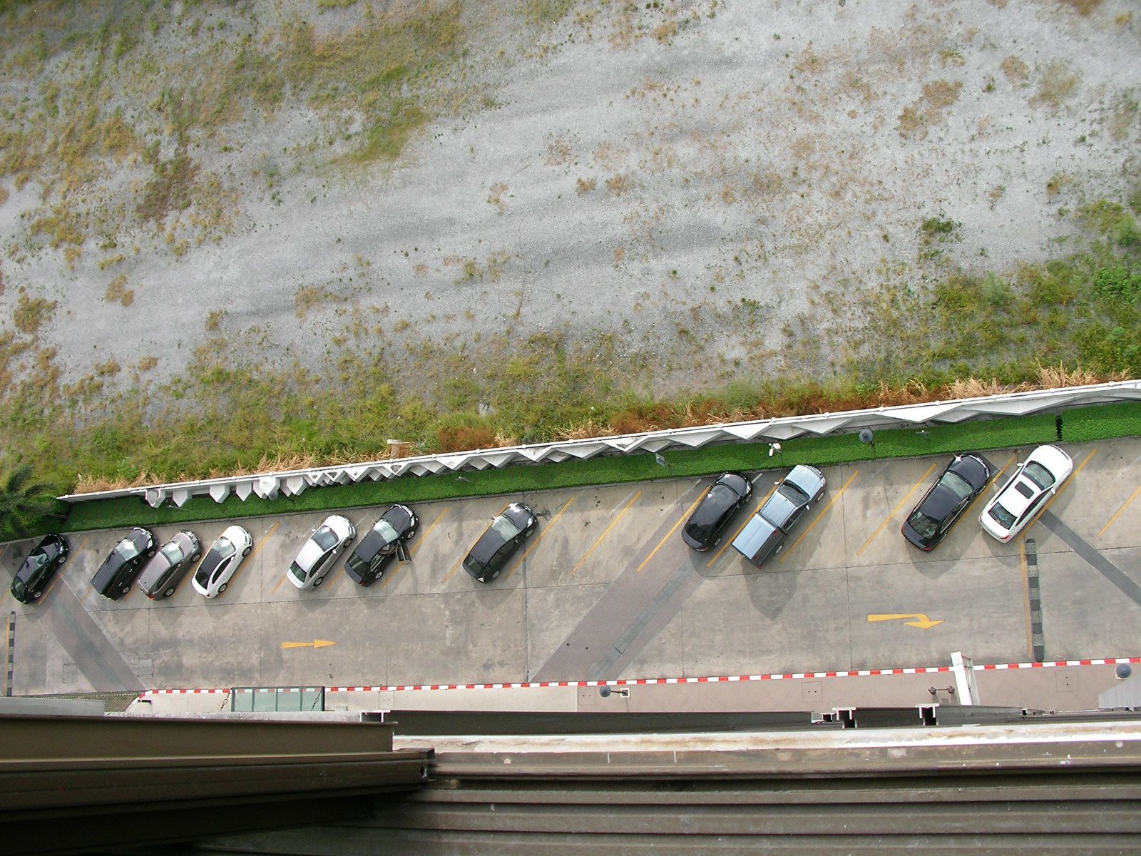 20150613_05.jpg