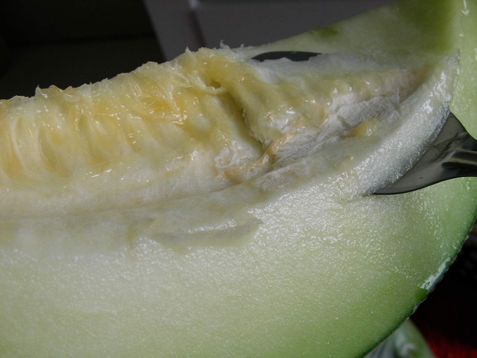 20140724_07.jpg