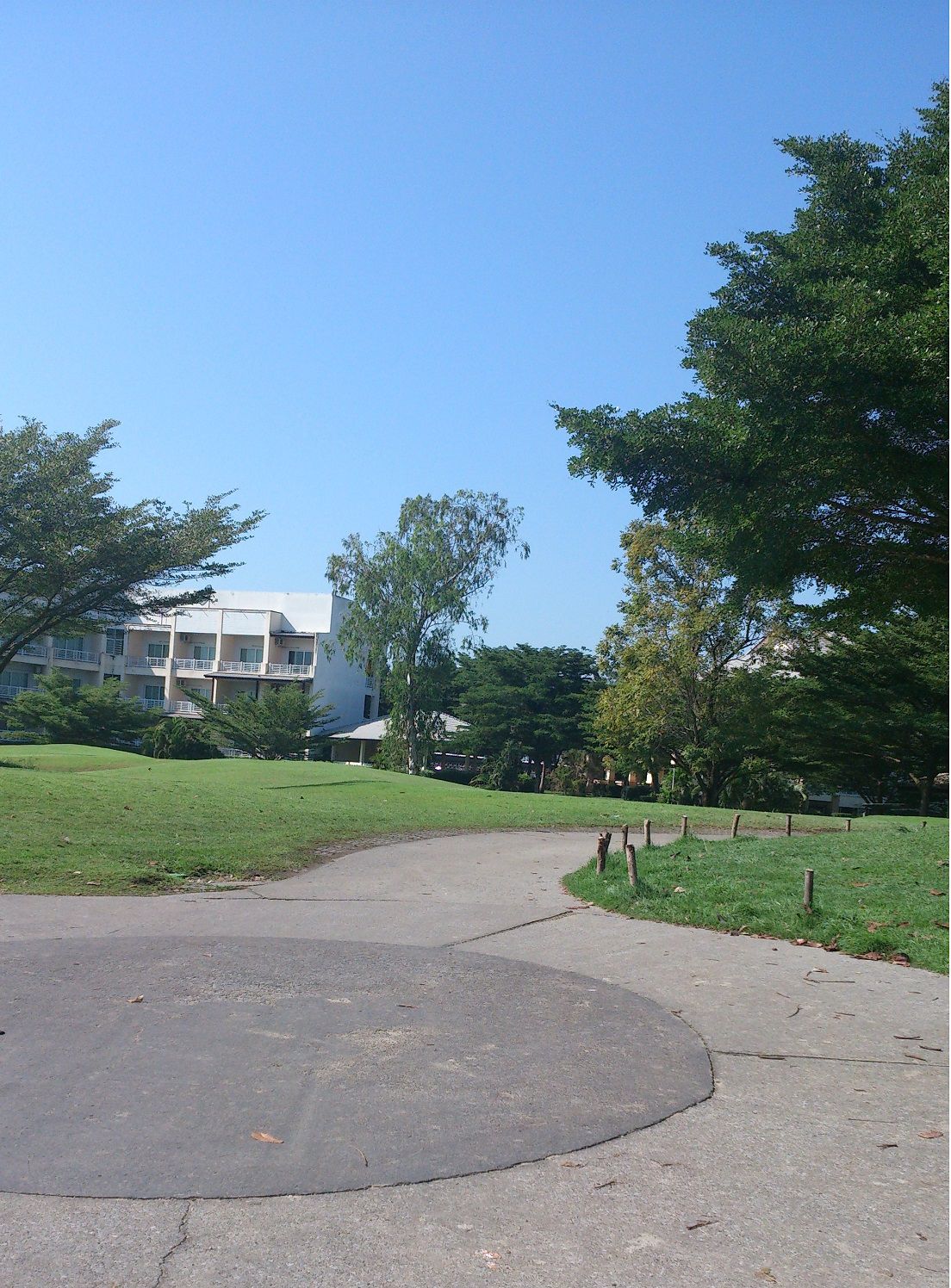 20151126_10.jpg