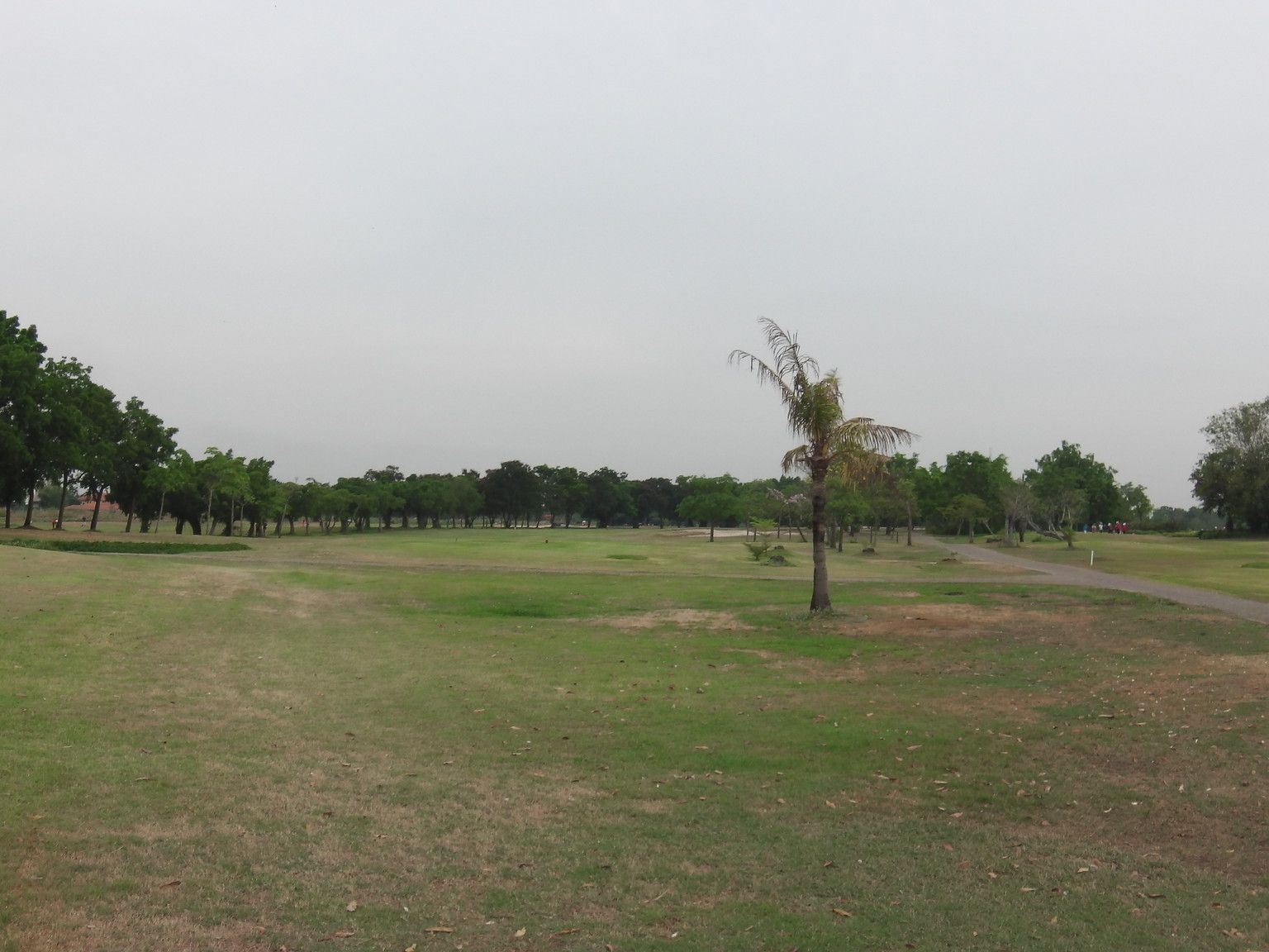 20160518_06.jpg