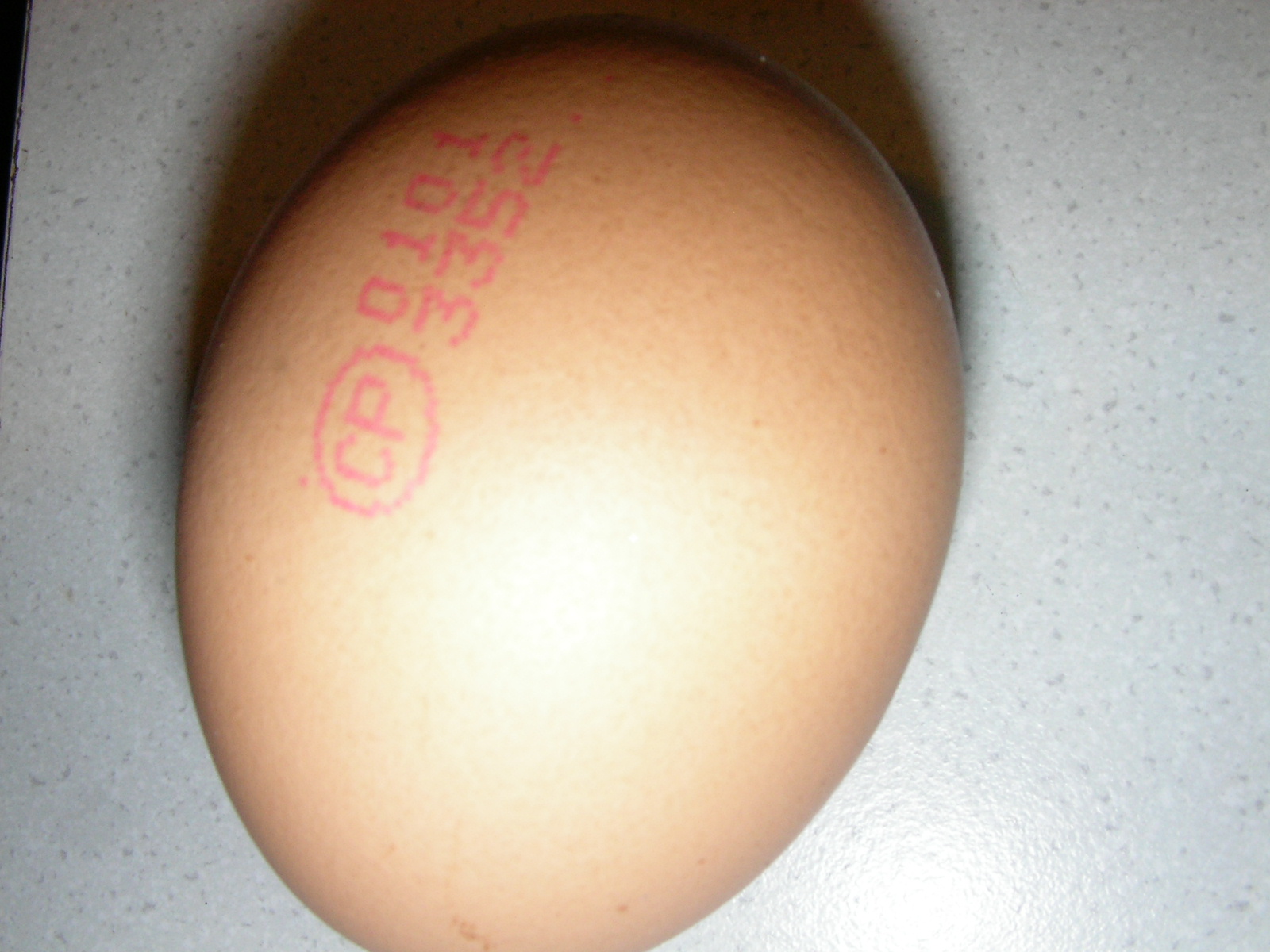 20121223_004.jpg