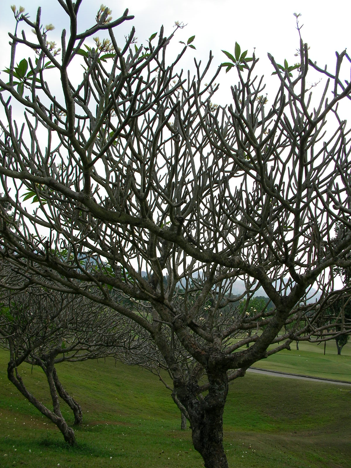 20140217_08.jpg