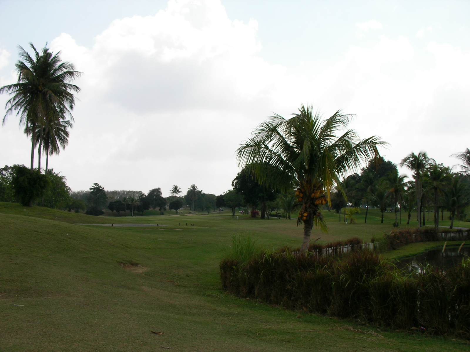 20140217_03.jpg