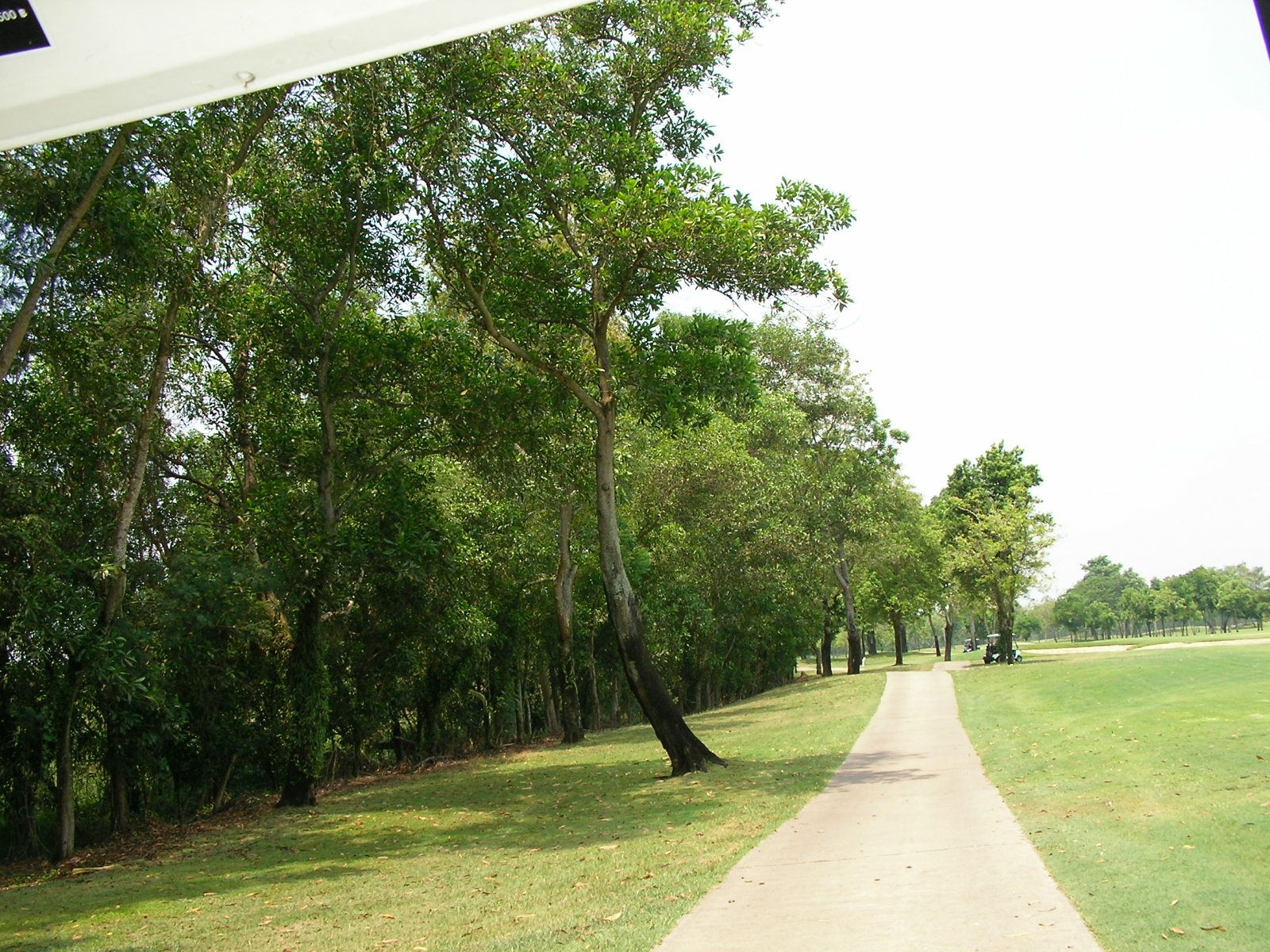 20150429_09.jpg