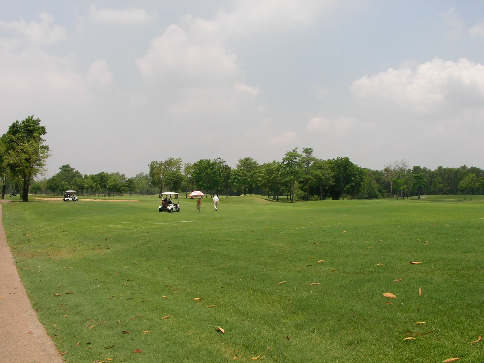 20150429_10.jpg
