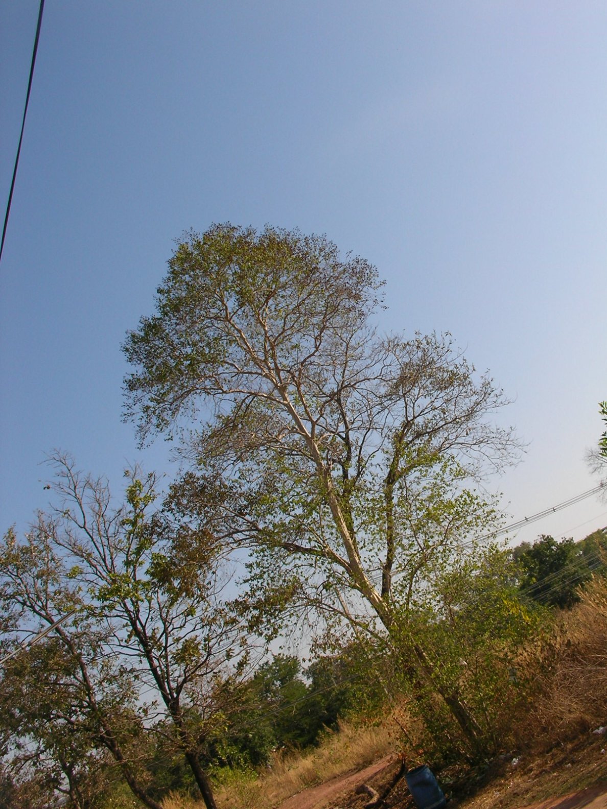 20130125_02.jpg