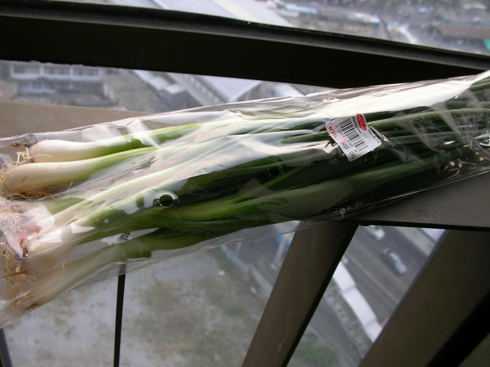 20150216_04.jpg