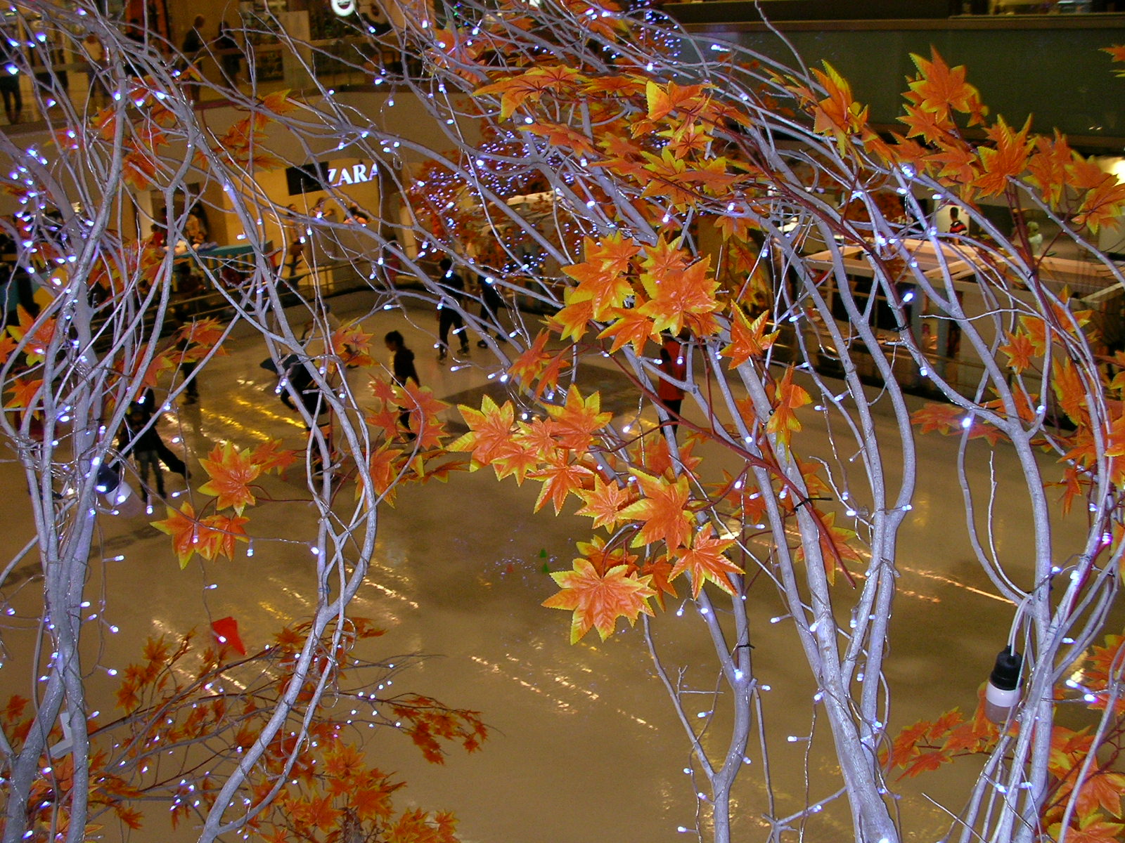 20141124_08.jpg