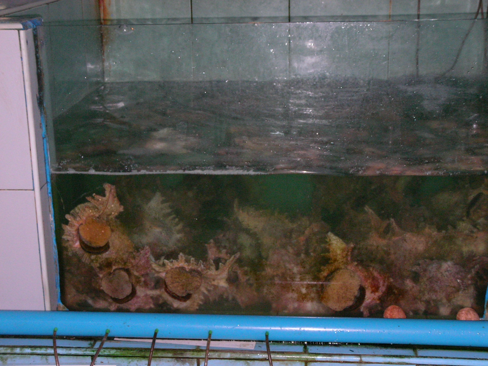 20140919_07.jpg