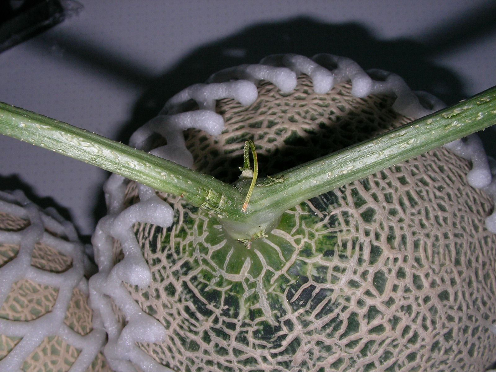 20151119_10.jpg