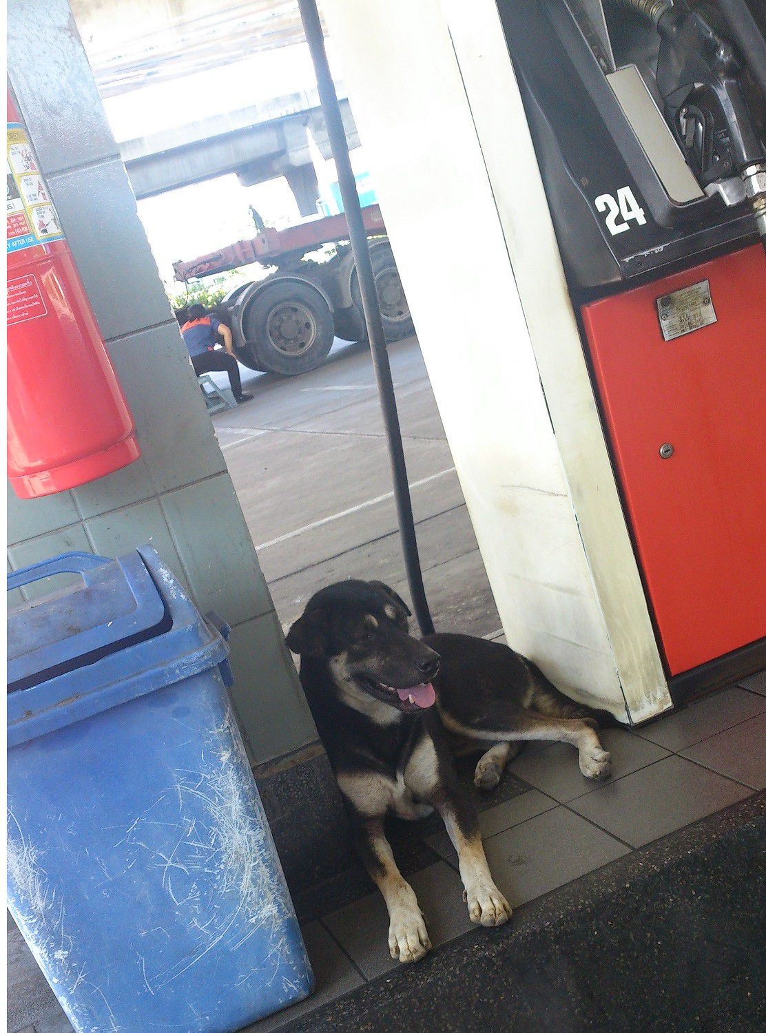 20150929_07.jpg
