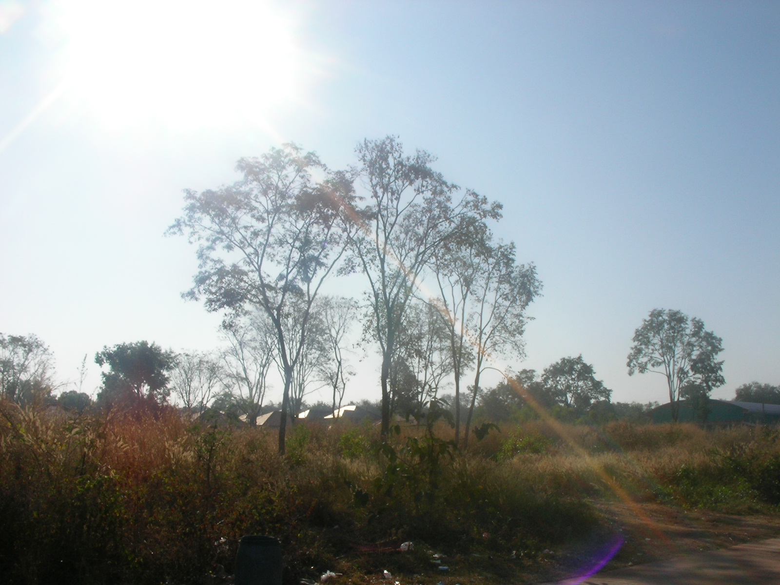 20130123_02.jpg