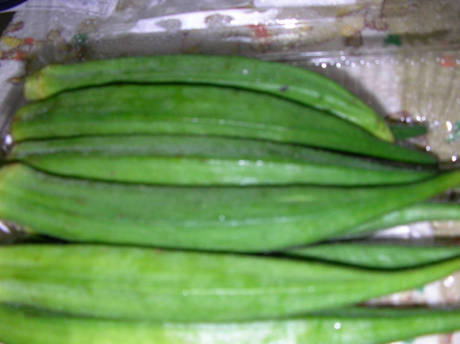 20150317_06.jpg