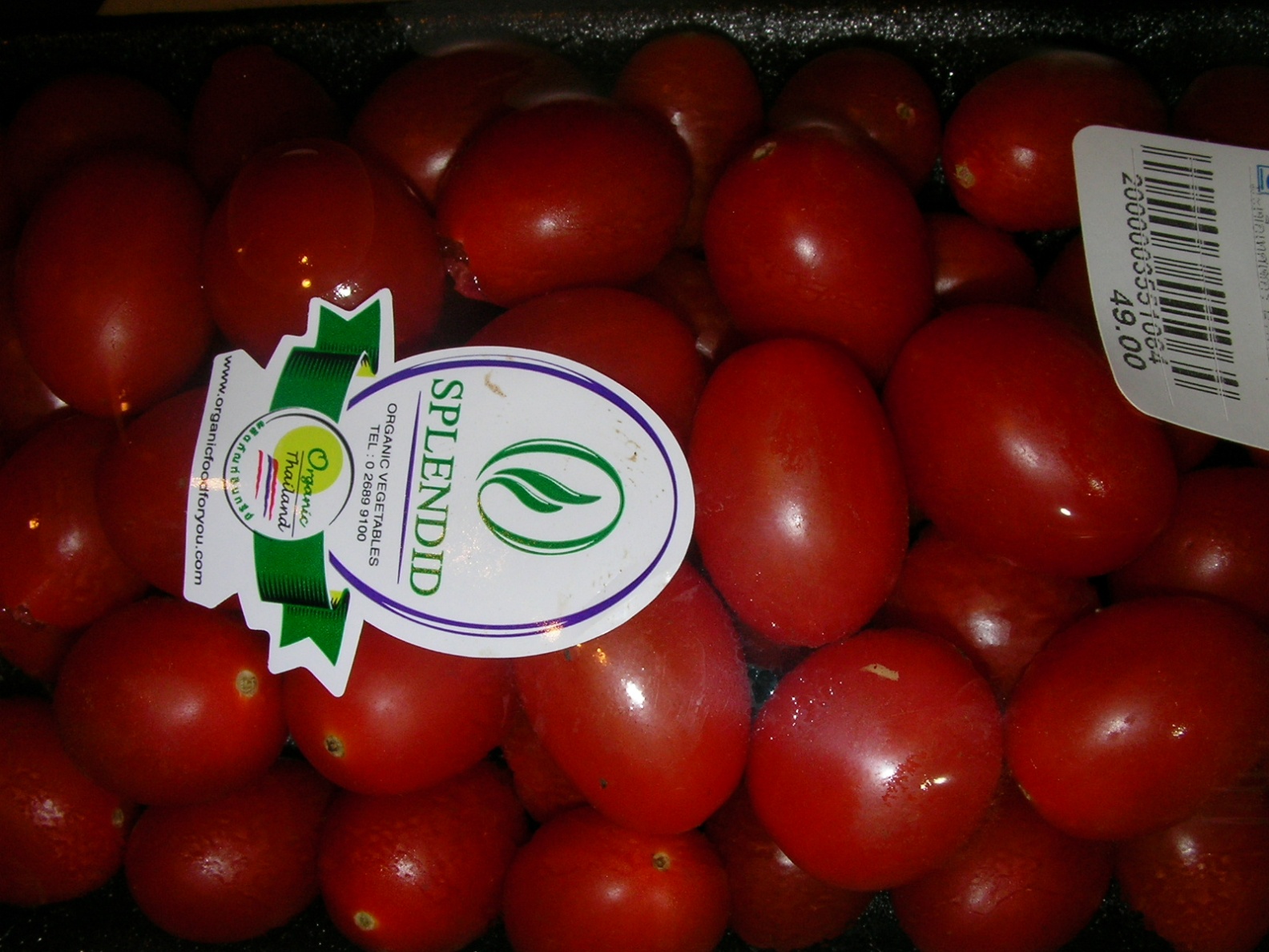 20130128_03.jpg