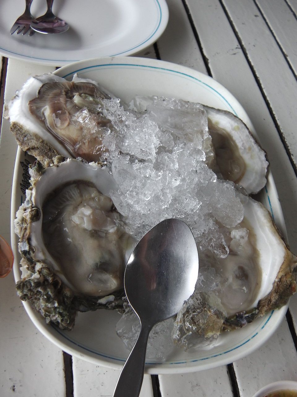 20160802_11.jpg