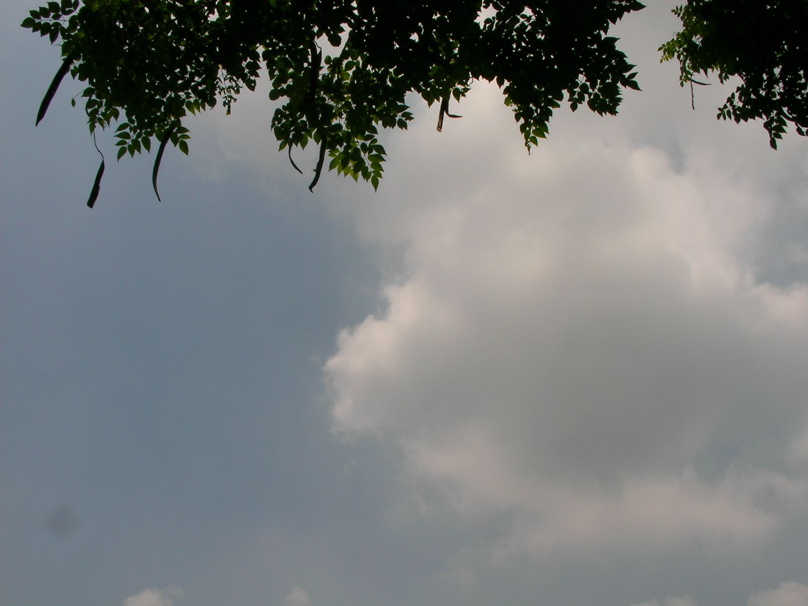 20150429_12.jpg