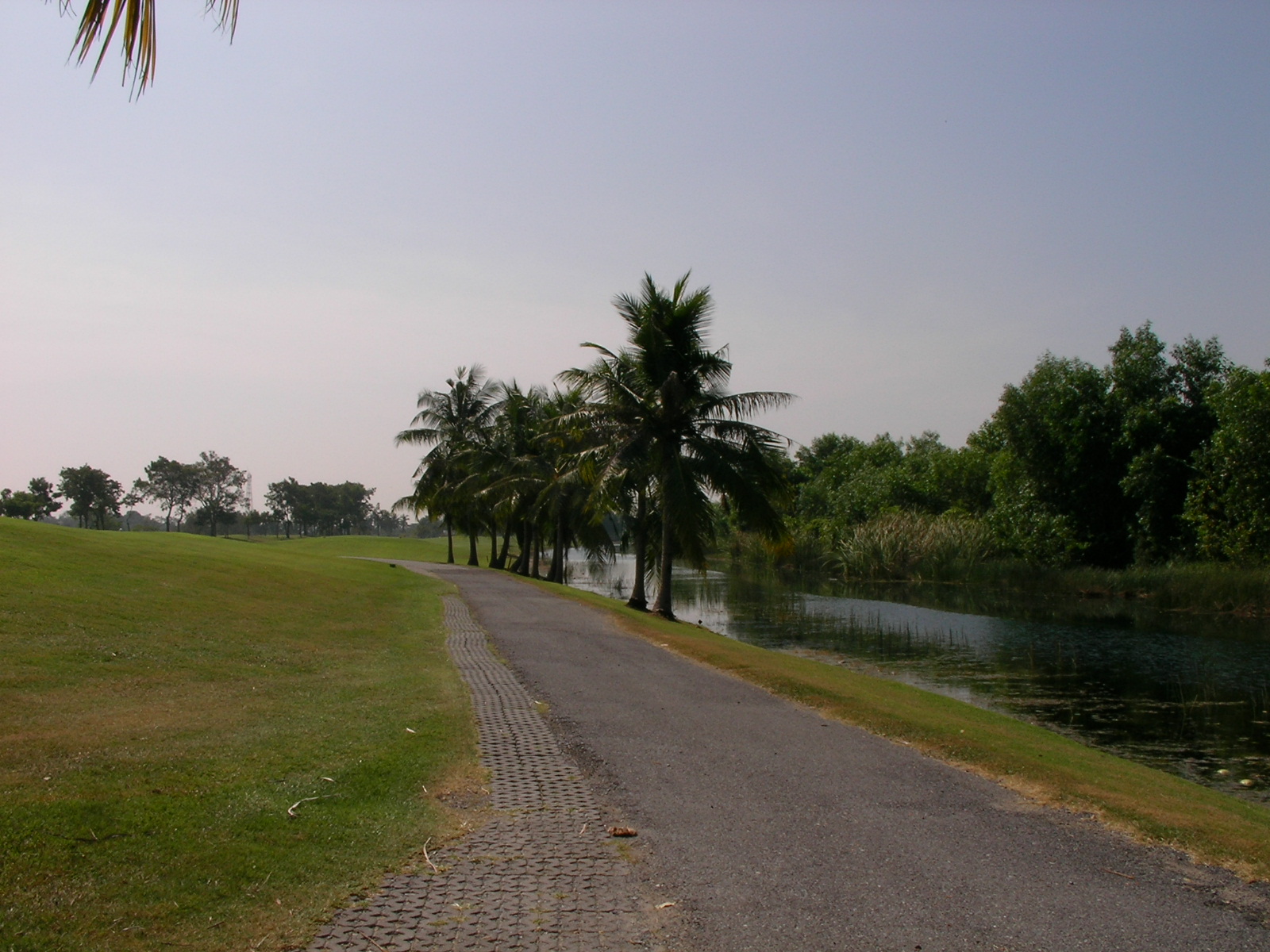 20141126_08.jpg