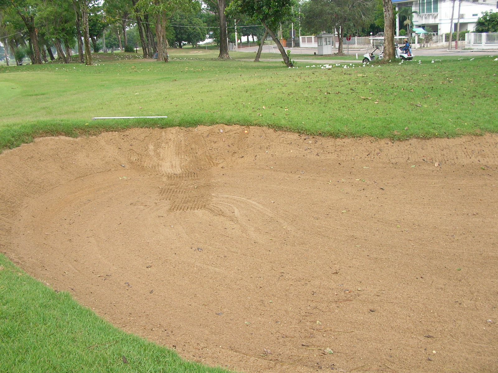 20150521_09.jpg