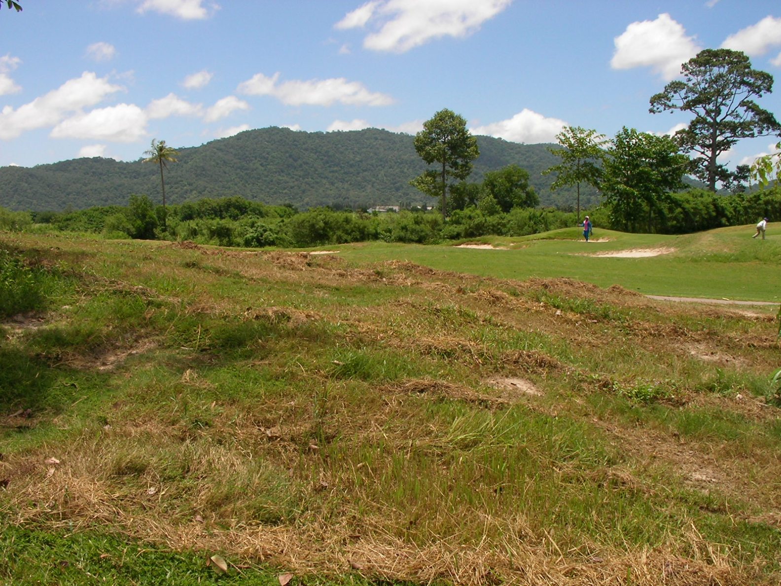 20130705_06.jpg
