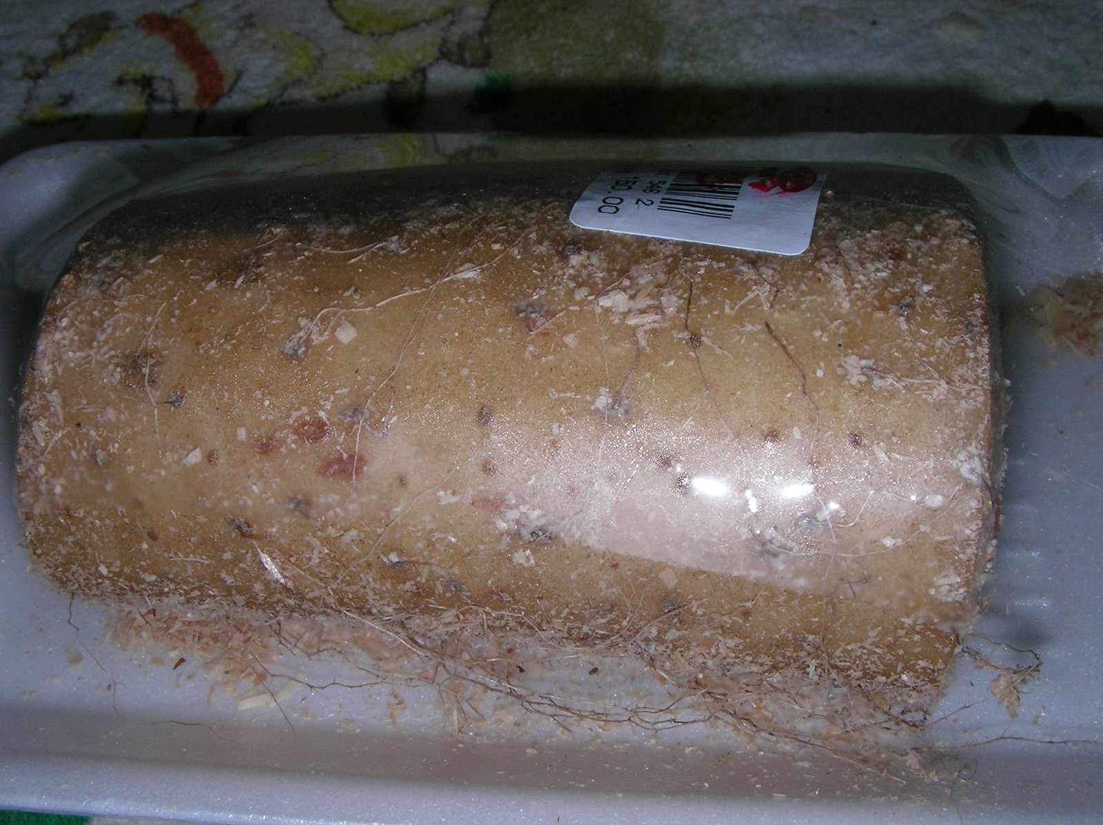 20150317_04.jpg