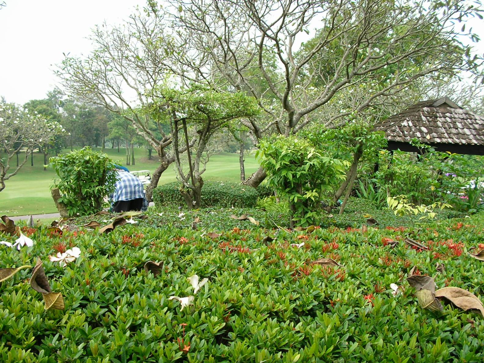20131016_06.jpg