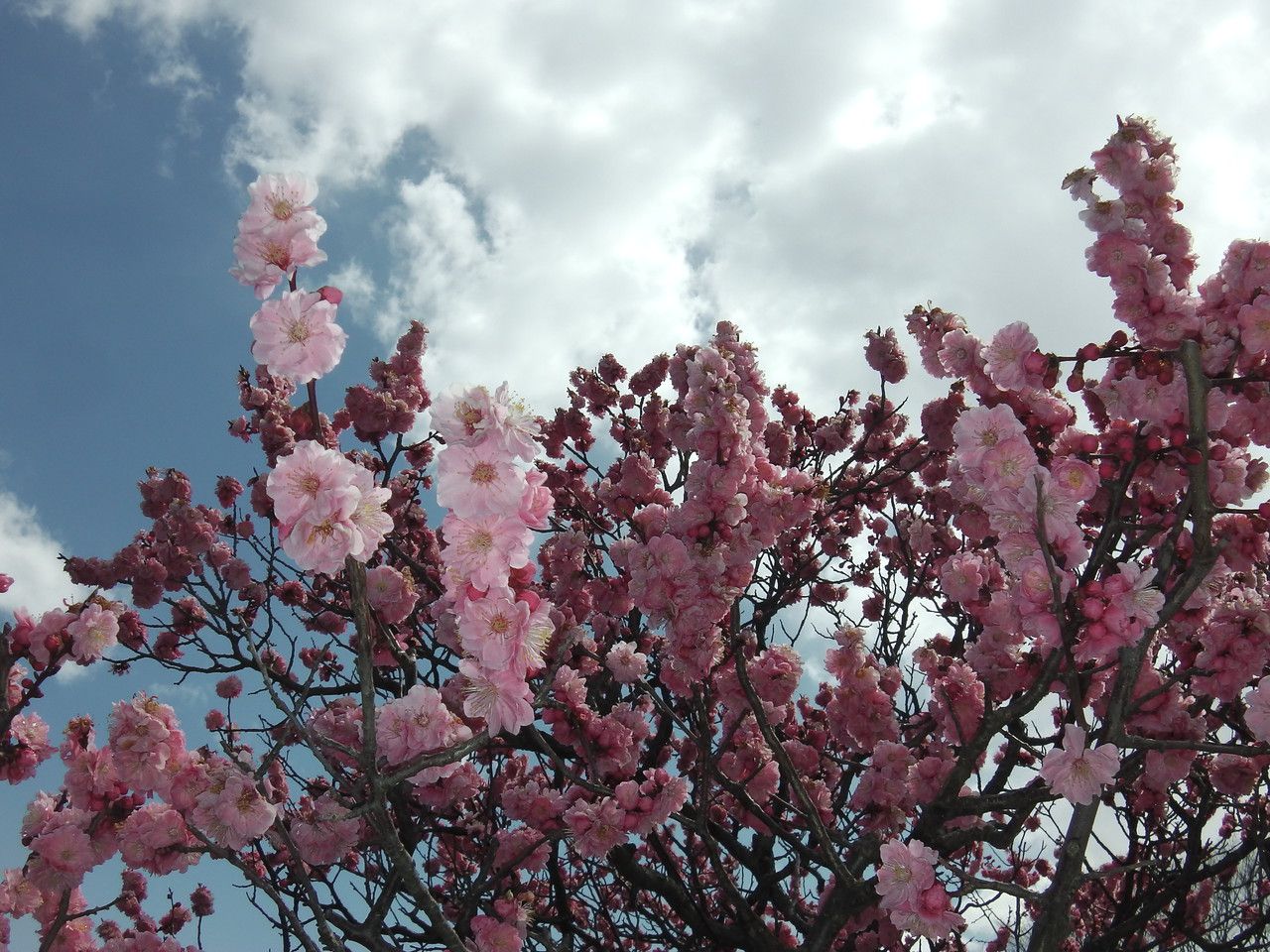 20160418_19.jpg