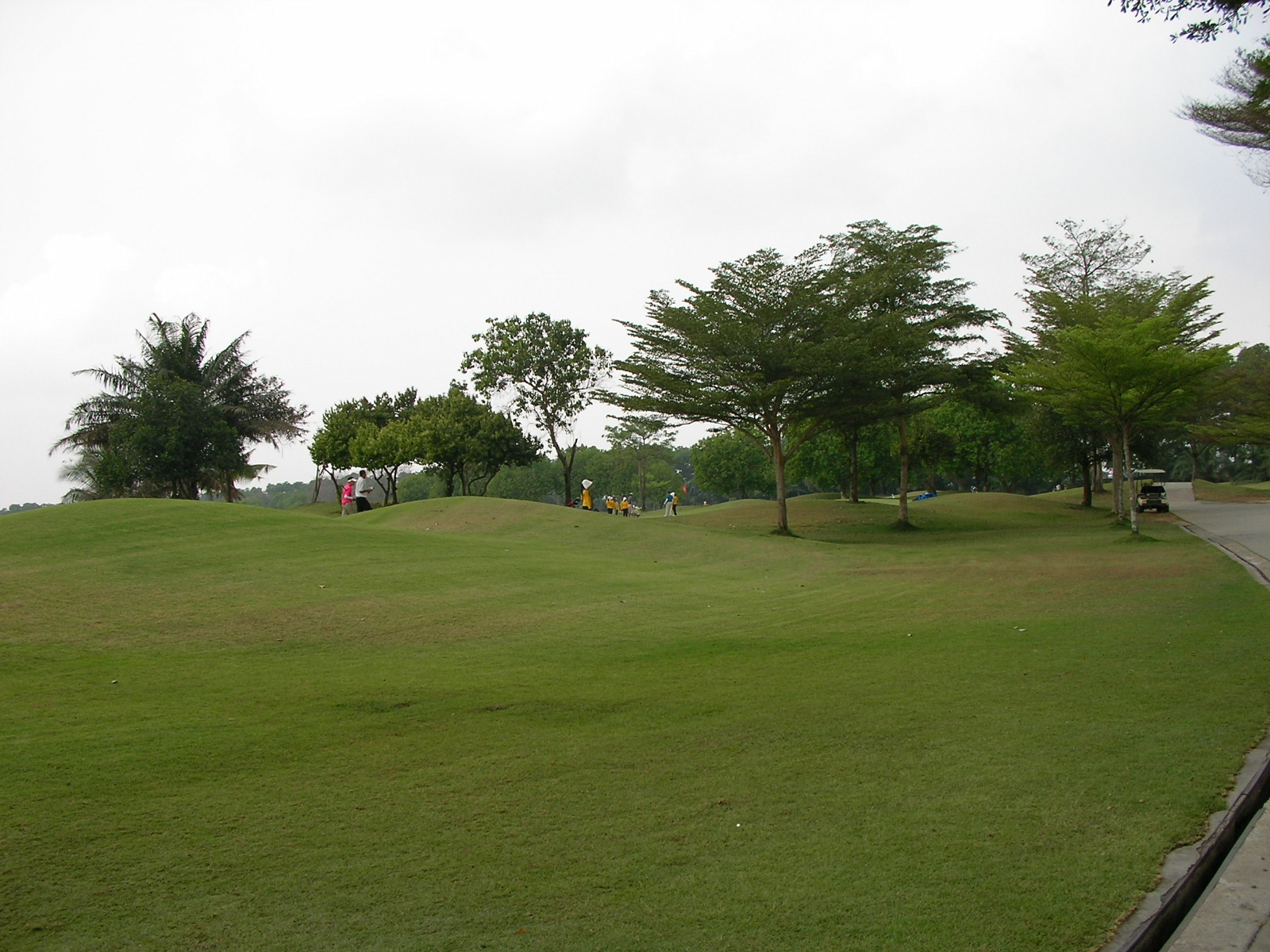 20140220_02.jpg