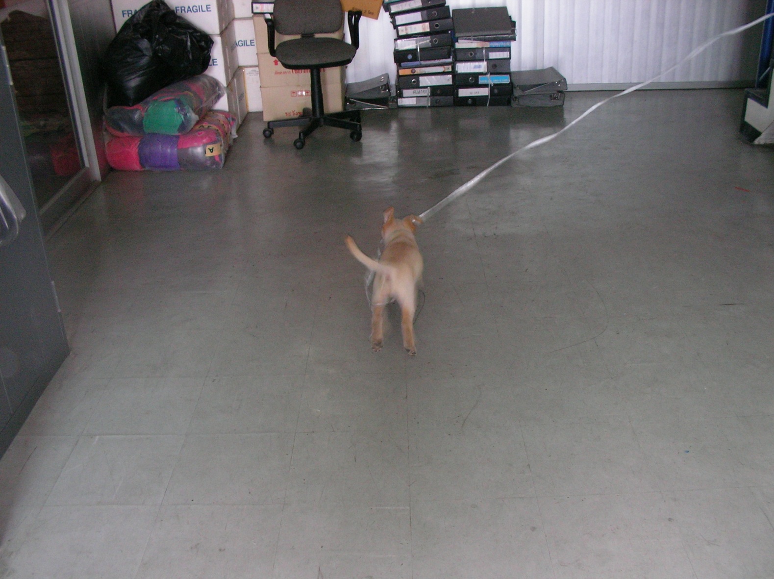 20131102_03.jpg