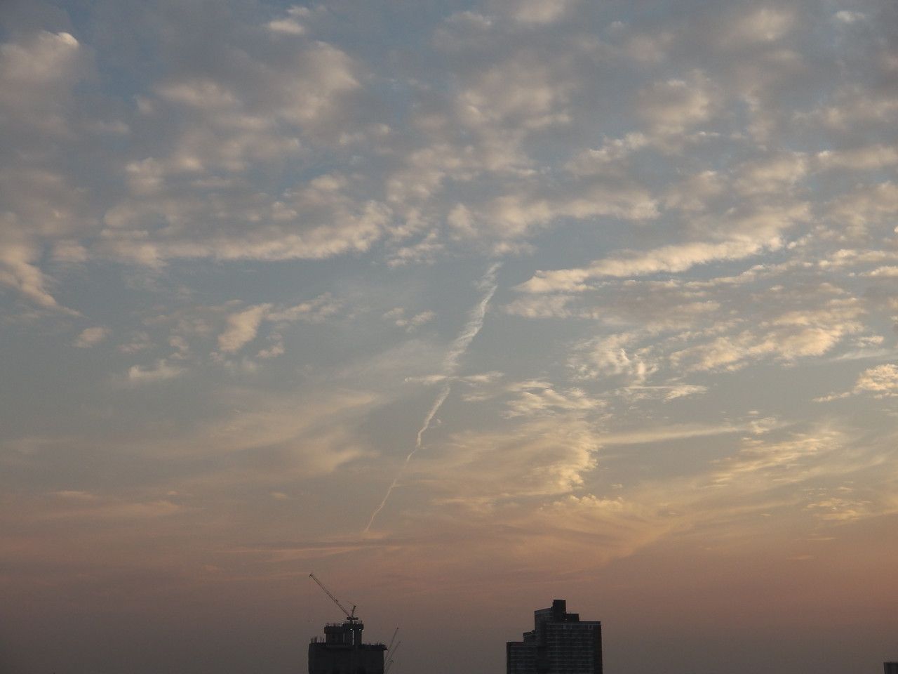 20160127_06.jpg