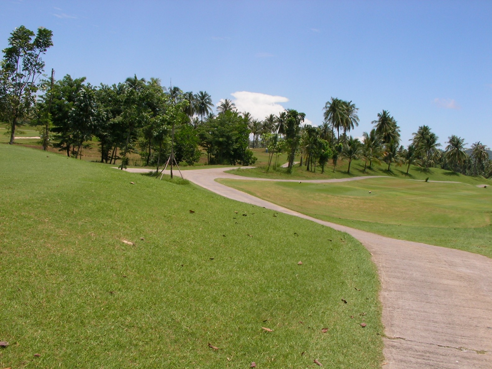 20130705_05.jpg