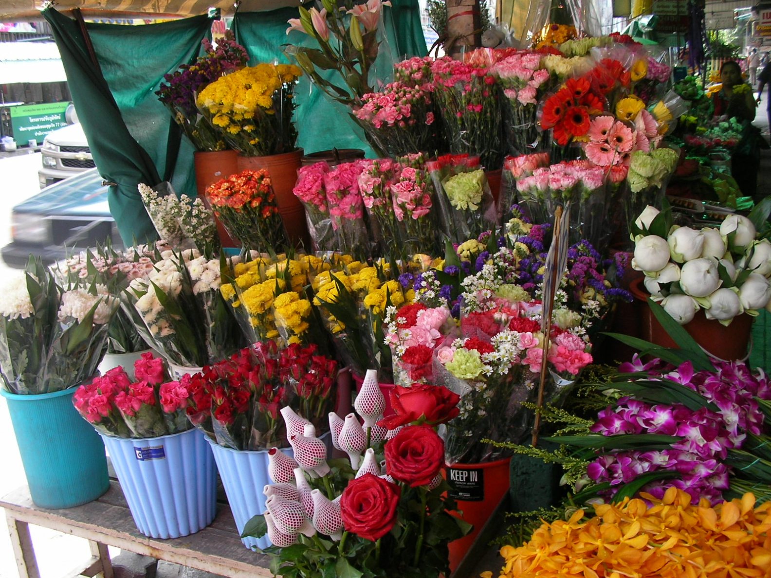 20130305_16.jpg