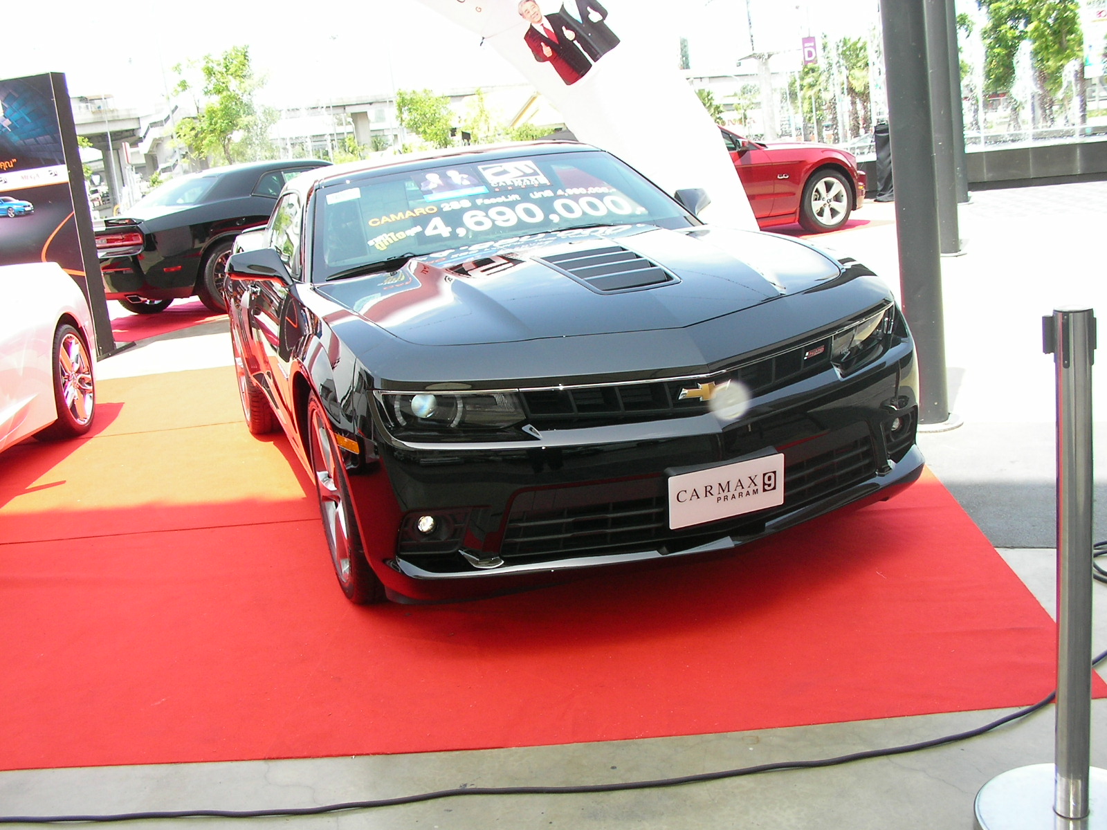 20140623_02.jpg