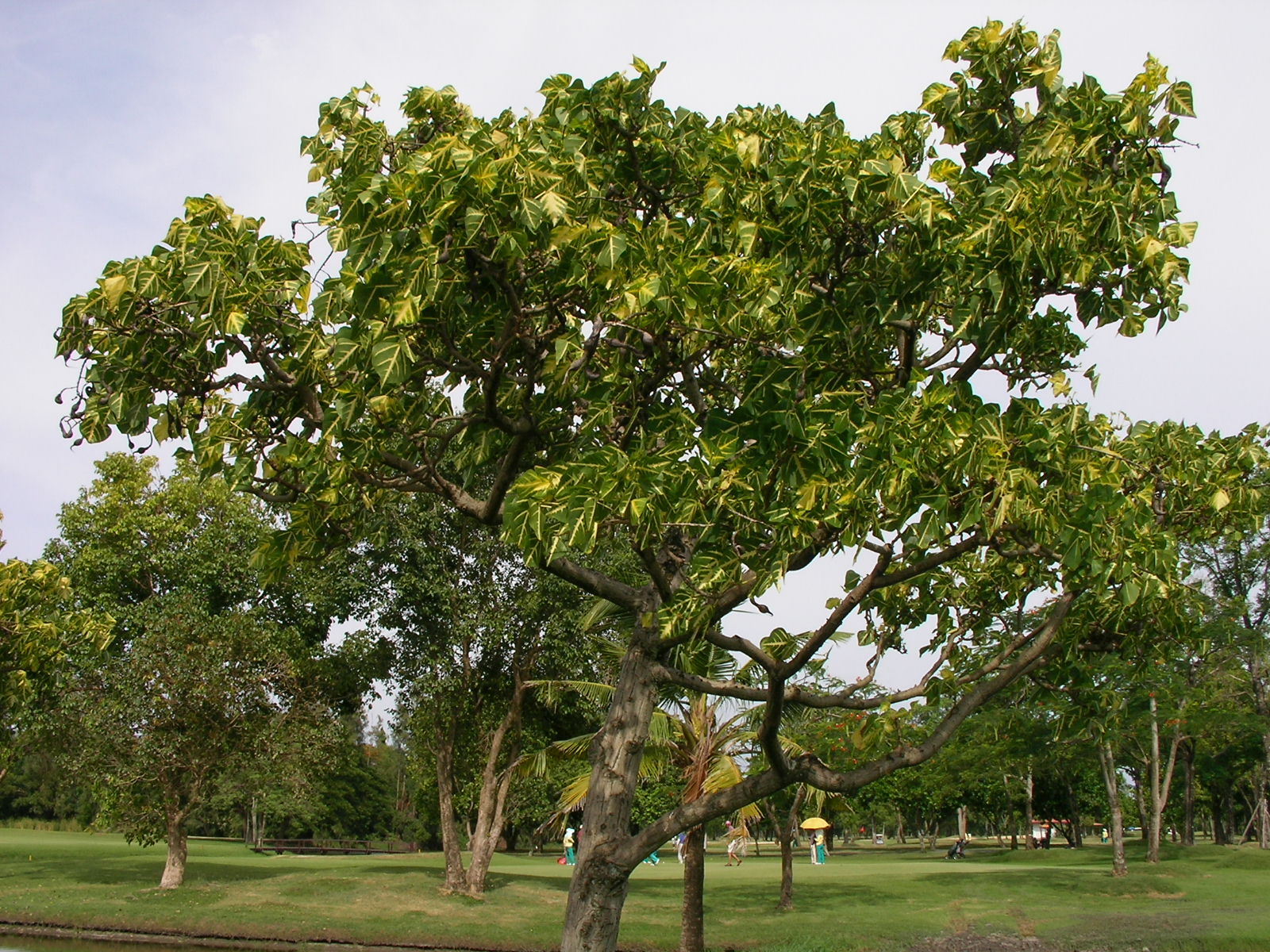 20140730_08.jpg