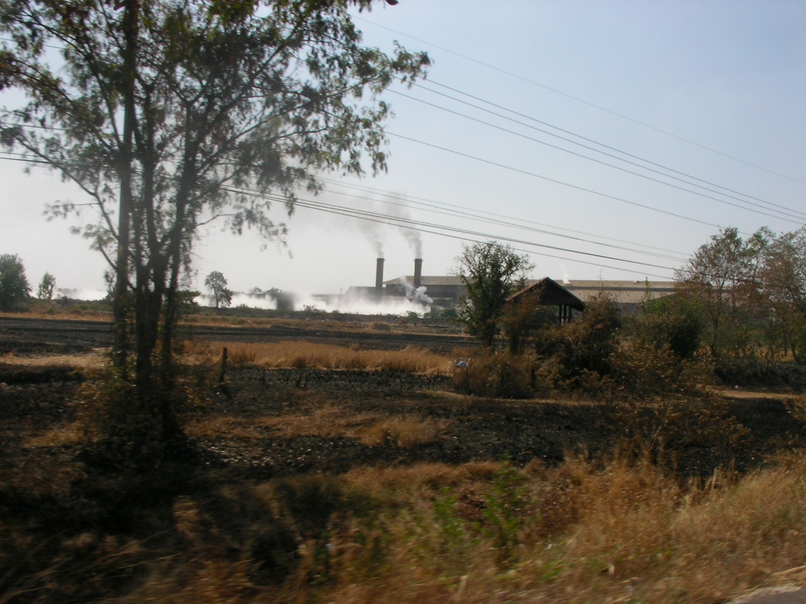 20130124_02.jpg
