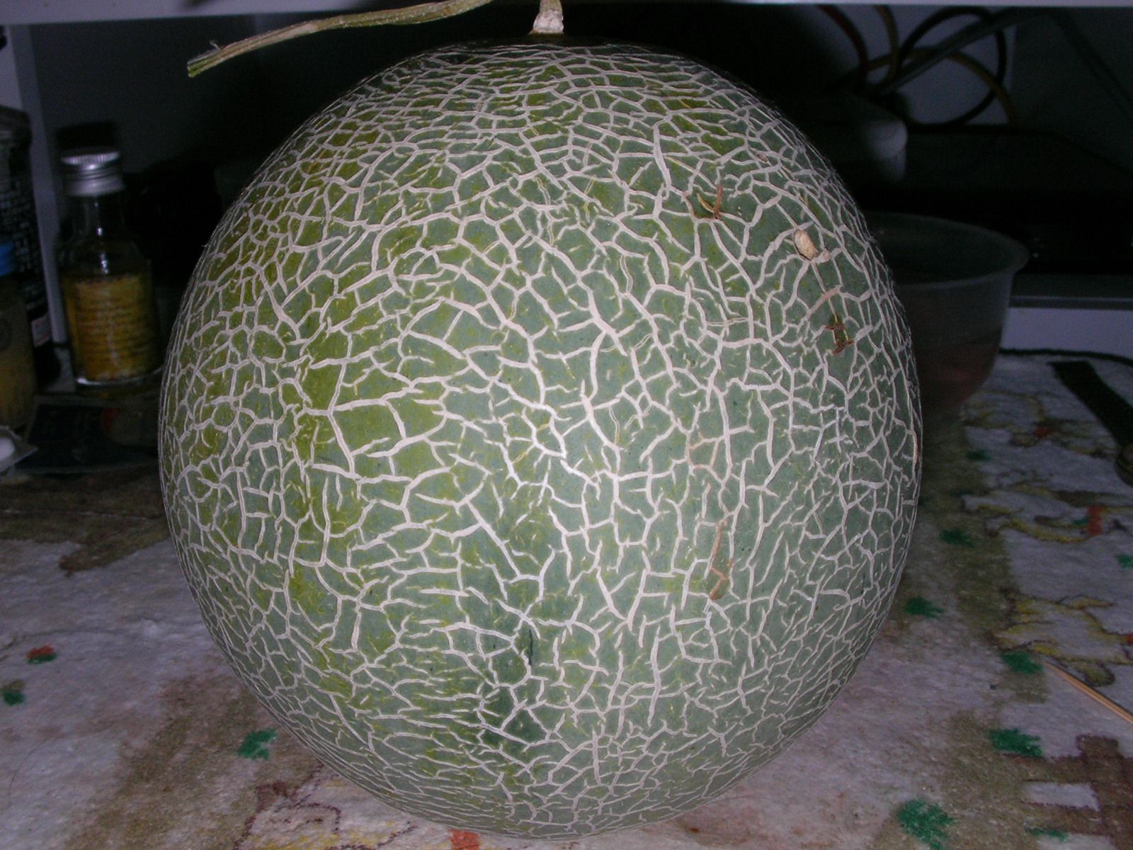 20151119_12.jpg