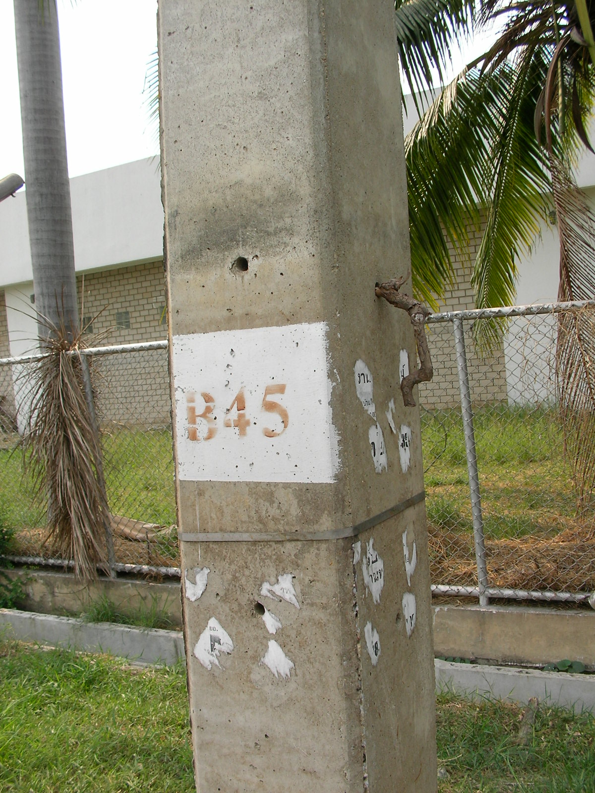 20150323_14.jpg