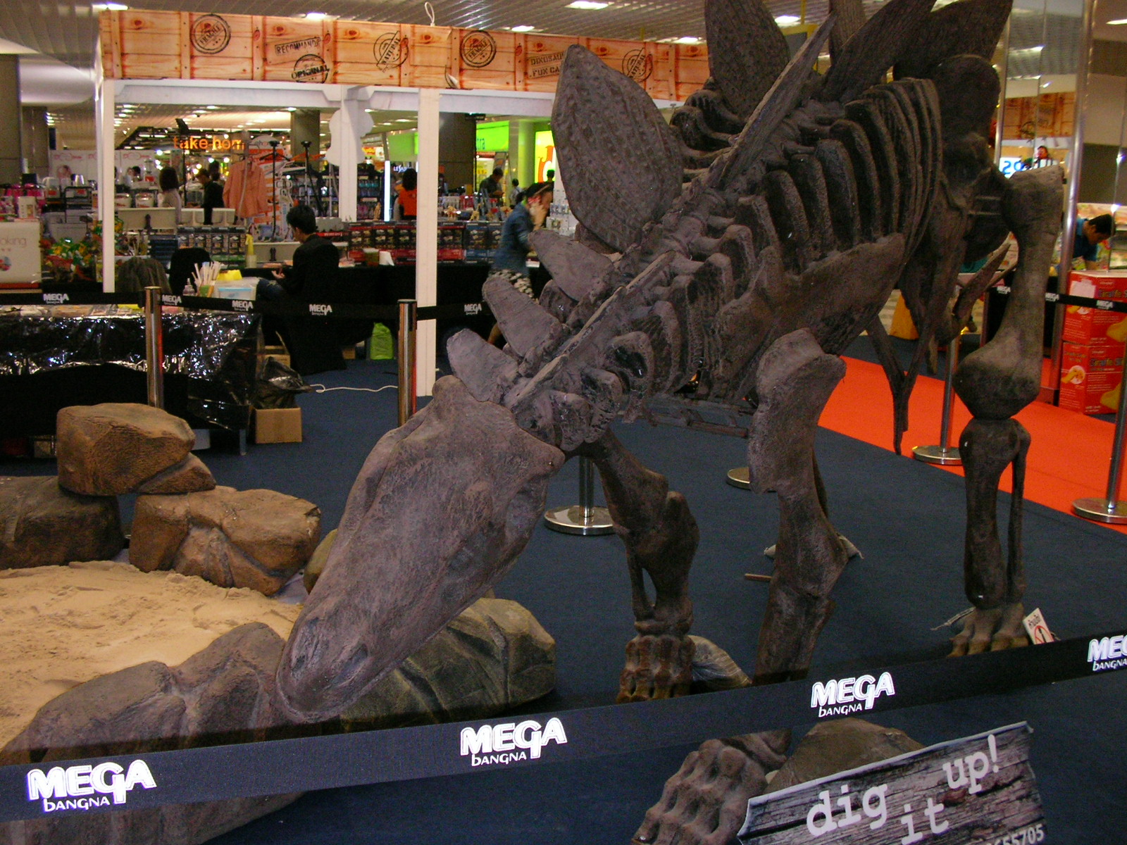 20150129_04.jpg