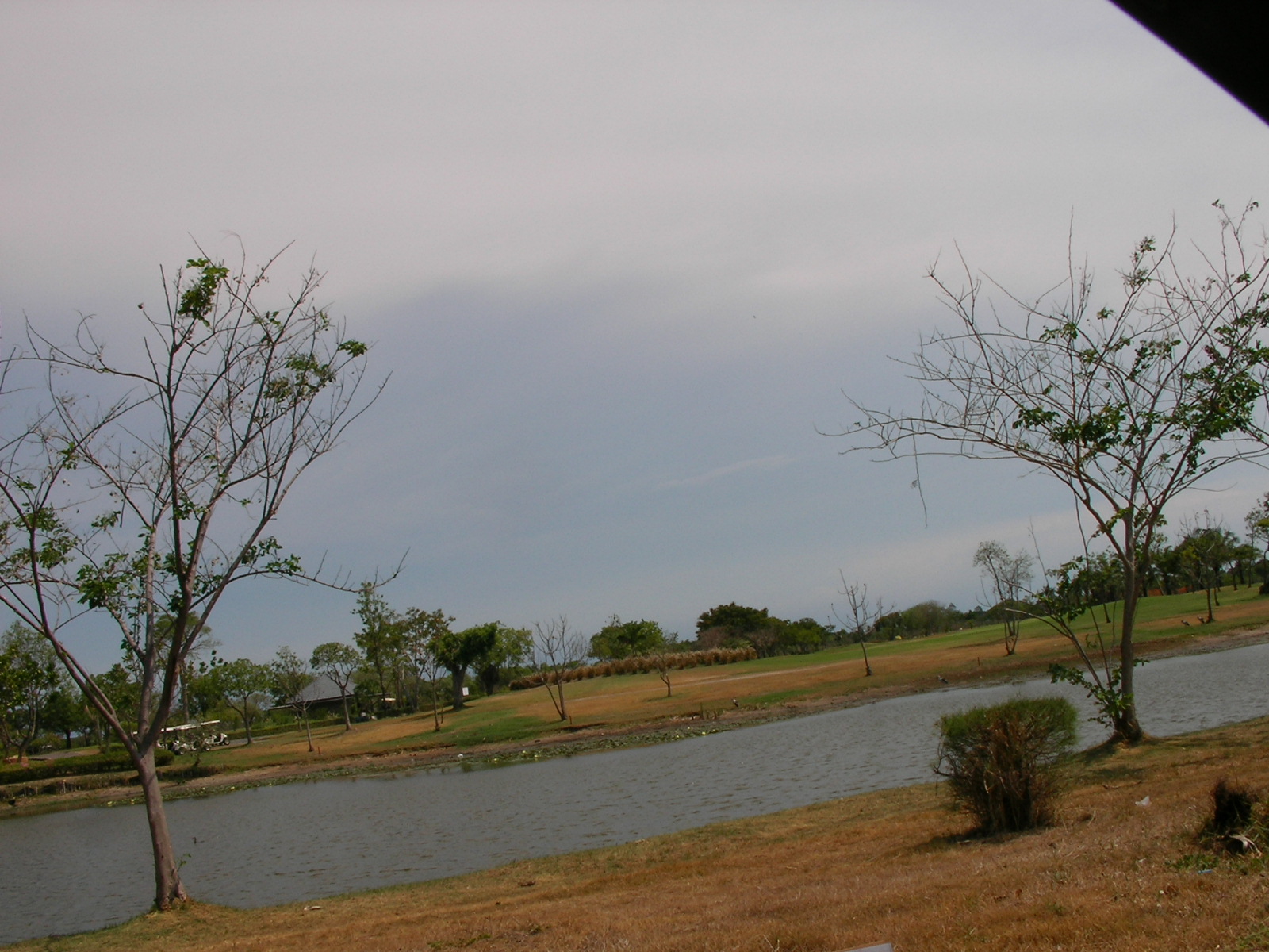 20140529_05.jpg