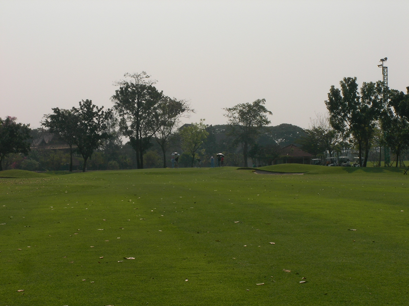 20150211_09.jpg