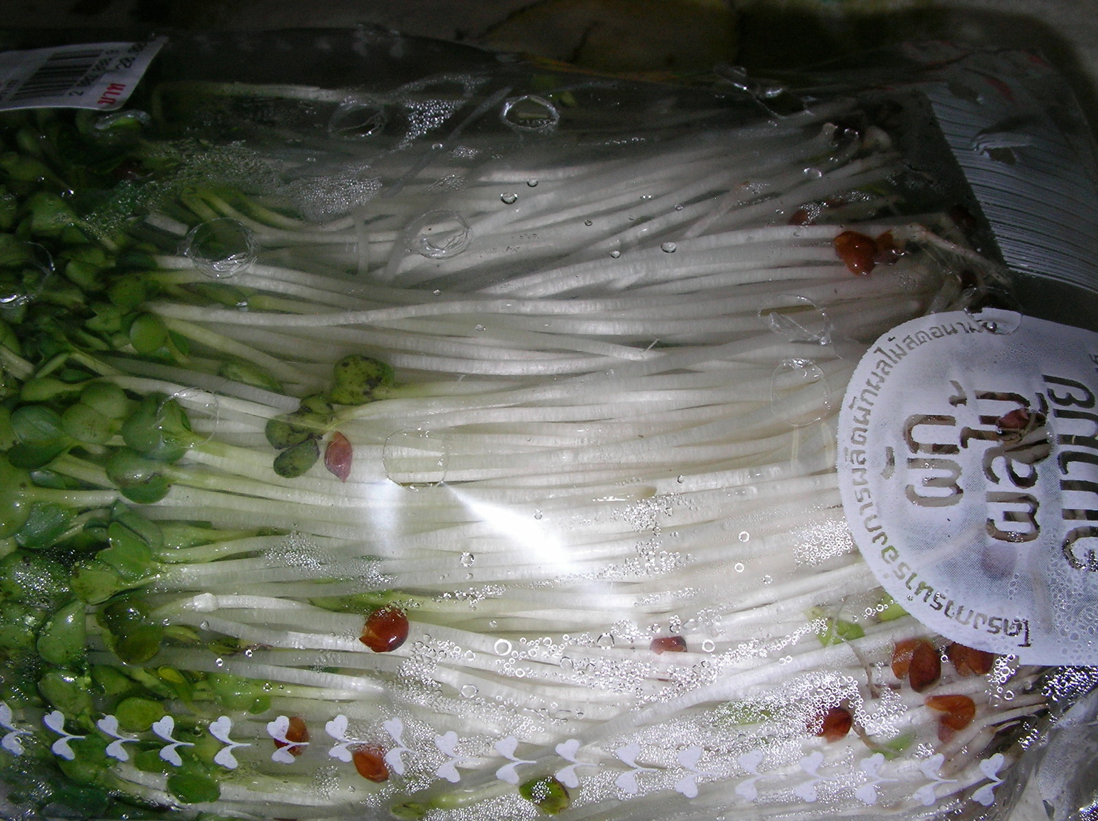 20150317_07.jpg
