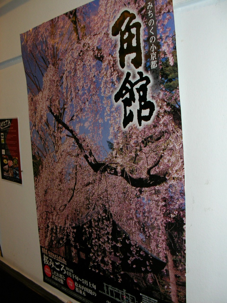 20150404_09.jpg