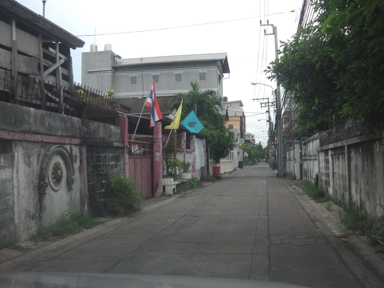 20160820_11.jpg