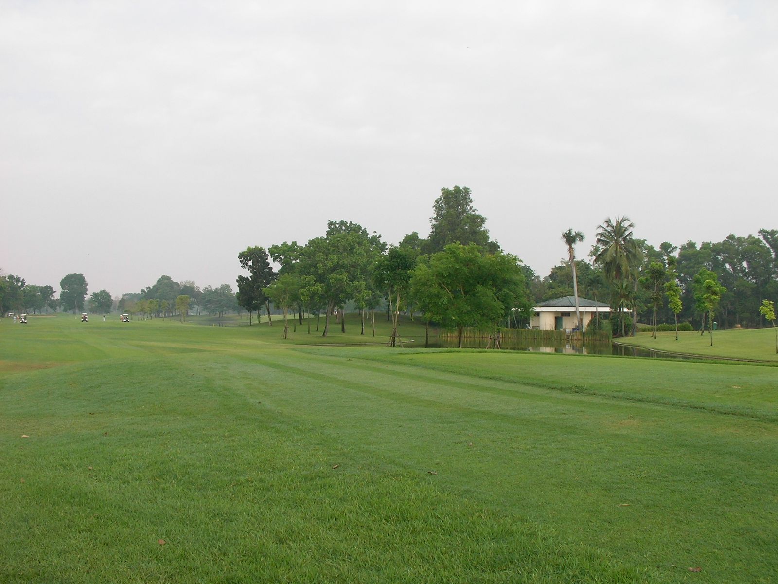 20150429_05.jpg